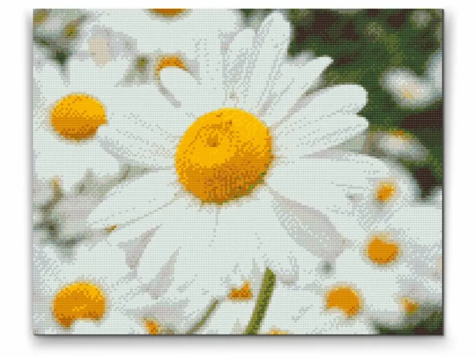 Road2Art Marguerit diamond paint 30x40 cm runde