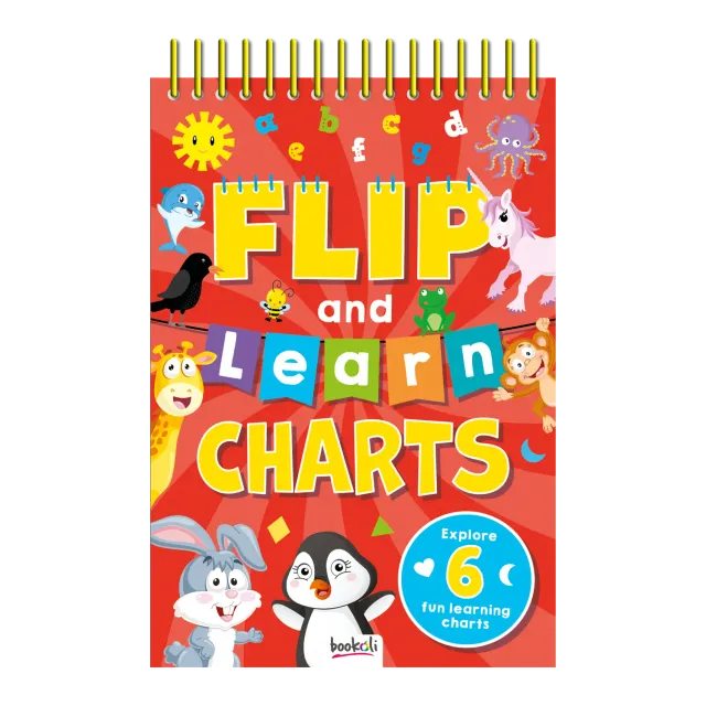 Decoden Magic Flip and Learn læringsbog 6 plakater