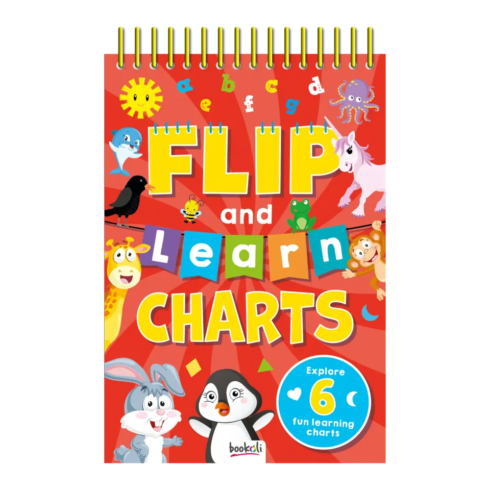 Decoden Magic Flip and Learn læringsbog 6 plakater