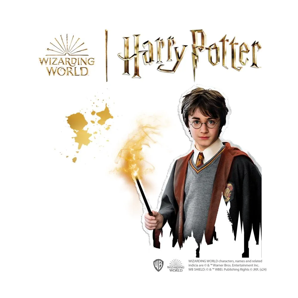 SES Creative Harry Potter gips støbesæt med maling