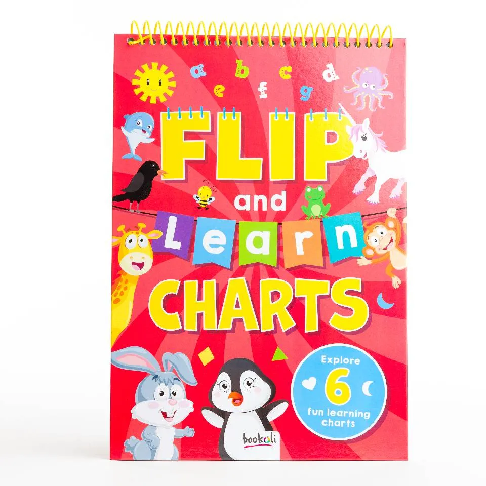 Decoden Magic Flip and Learn læringsbog 6 plakater