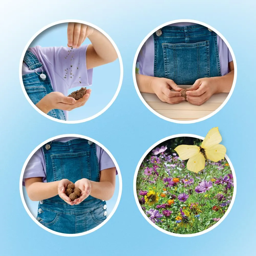 SES Creative Vlinder blomsterbomber 10 stk